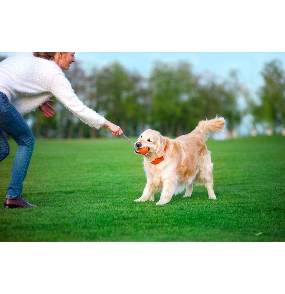 Piłka na sznurku - Liker Cord 7