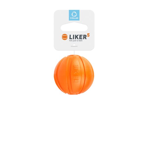 Piłka LIKER 5