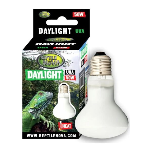 Reptile Nova UVA Daylight Żarówka grzewcza 50W